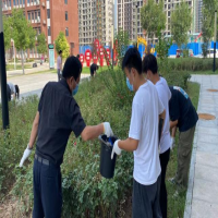 图片 11