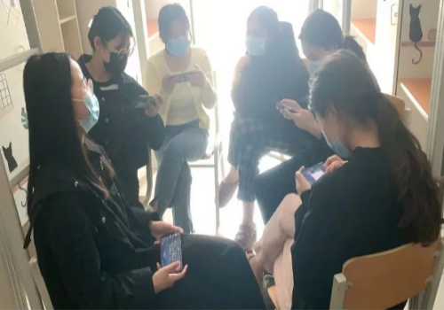图片 7
