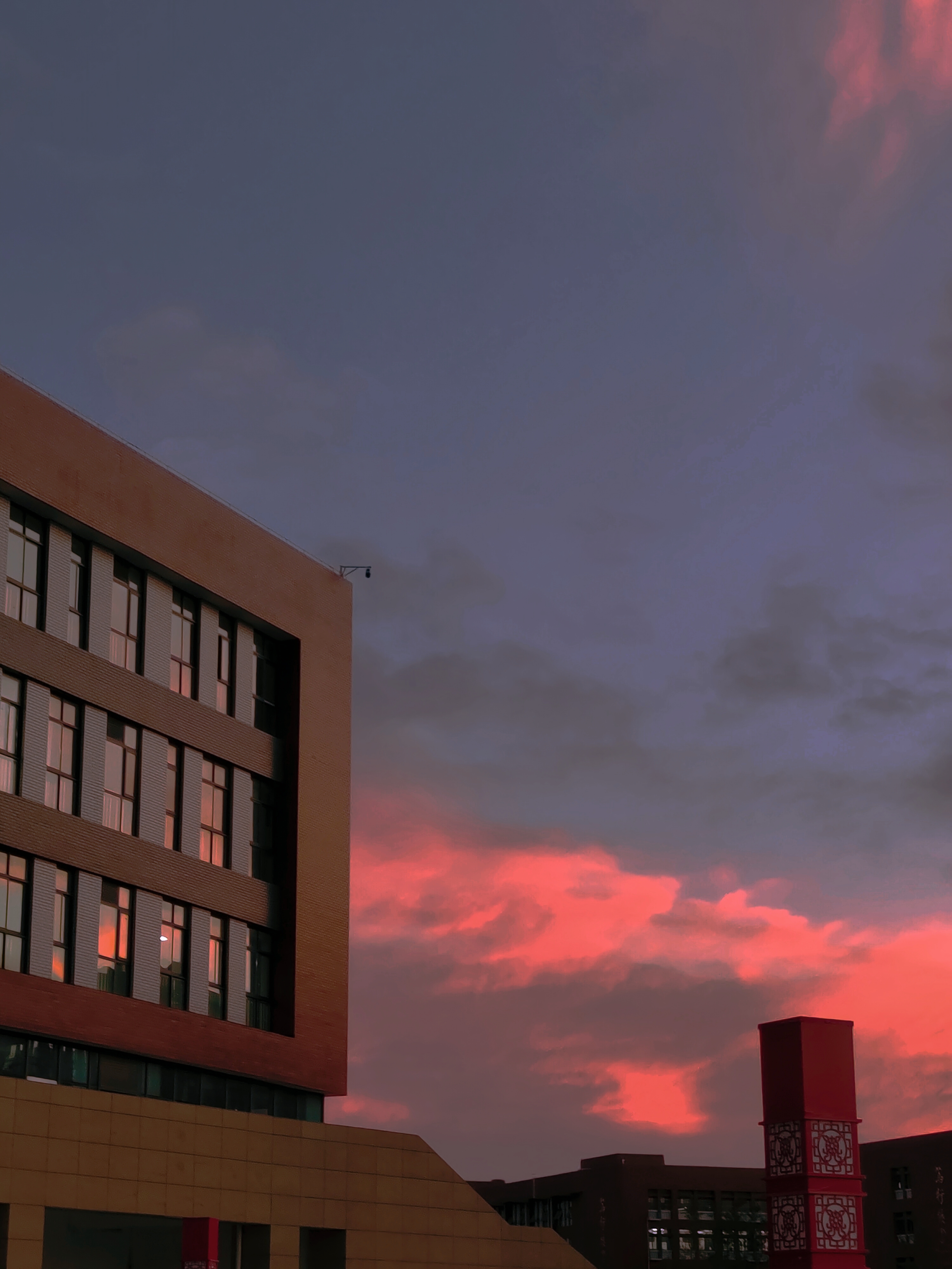 retouch_2022110510030553.jpg