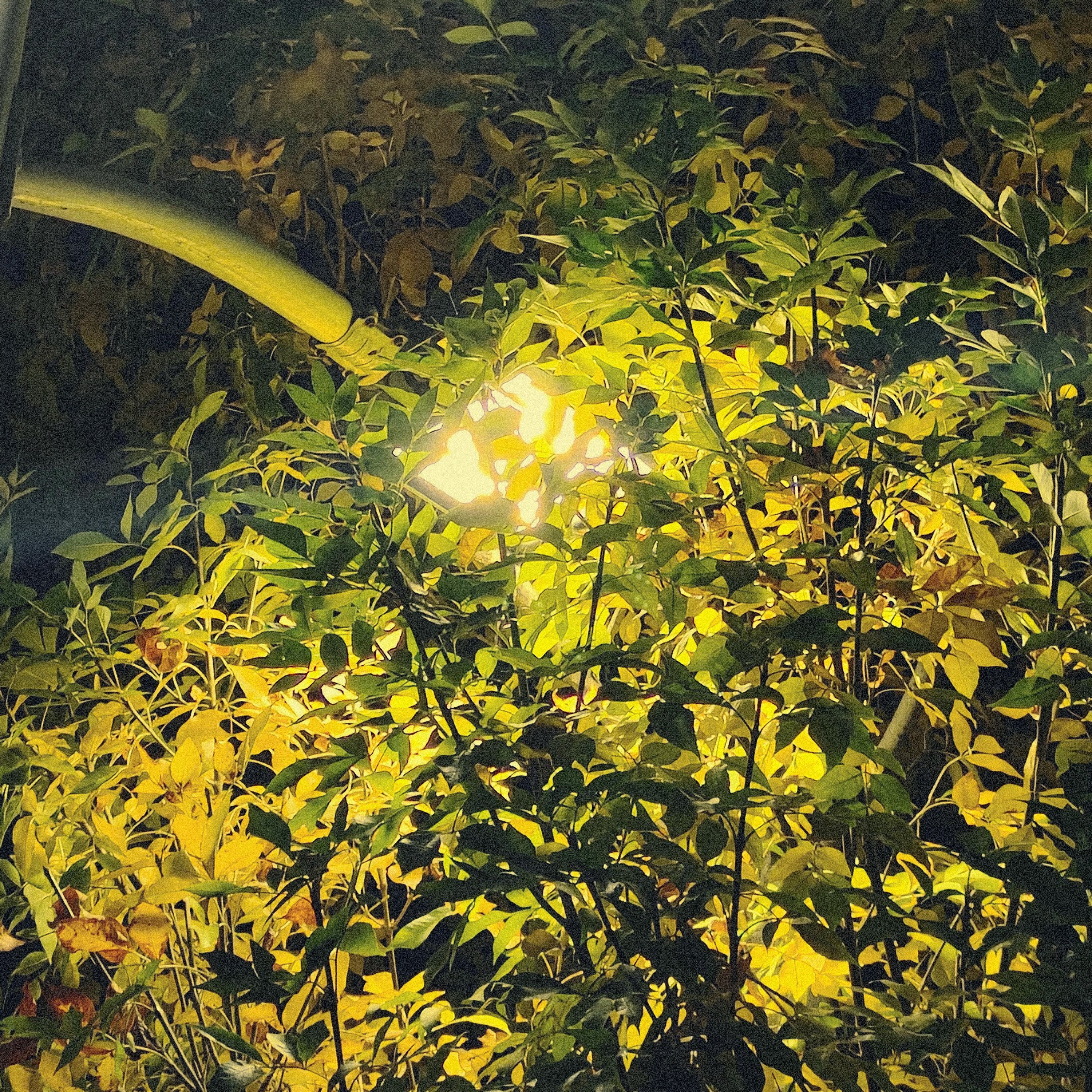 retouch_2022110510020496.jpg