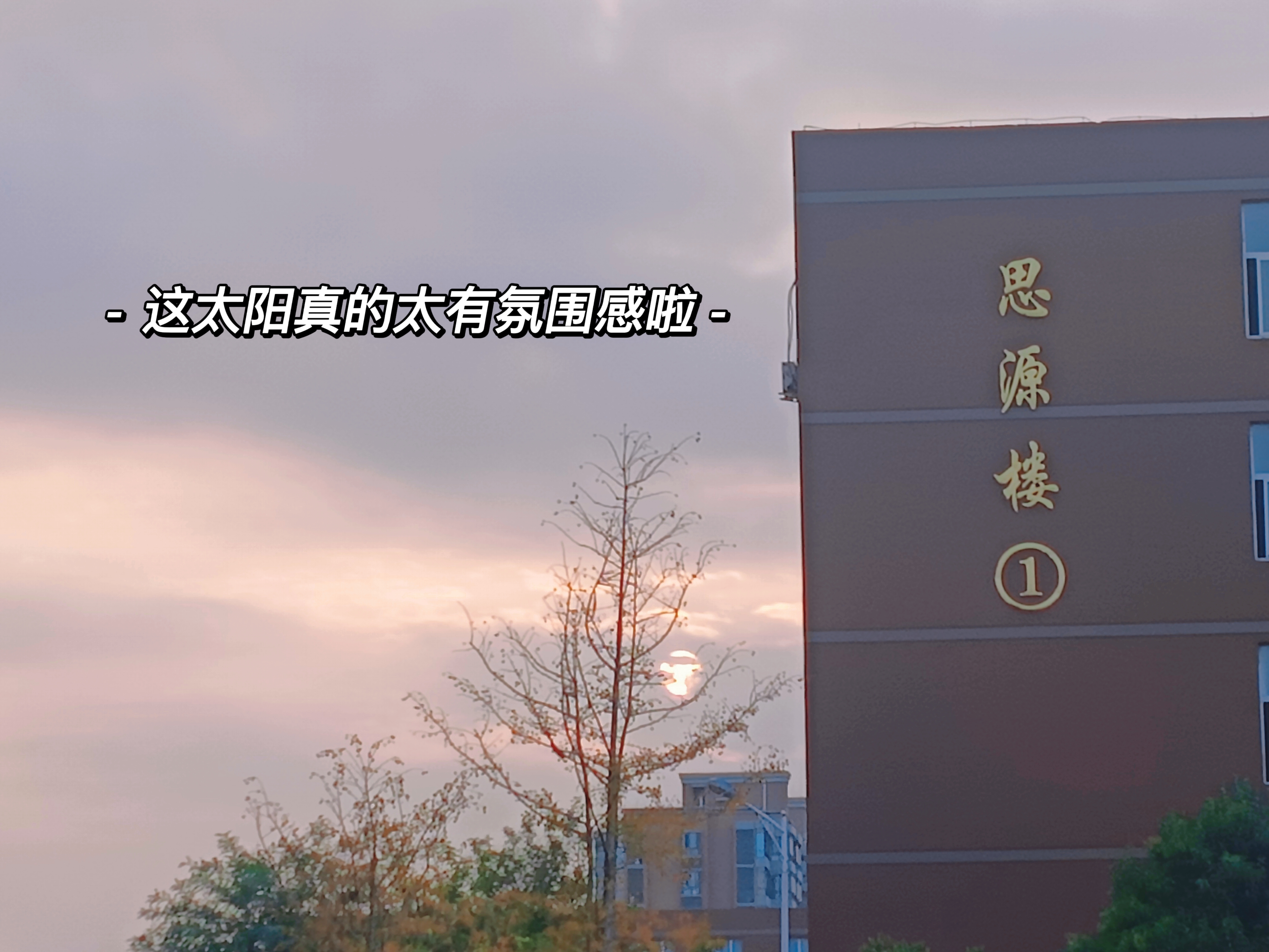 22级本科物流管理二班赵敖茹 13723248137（1）