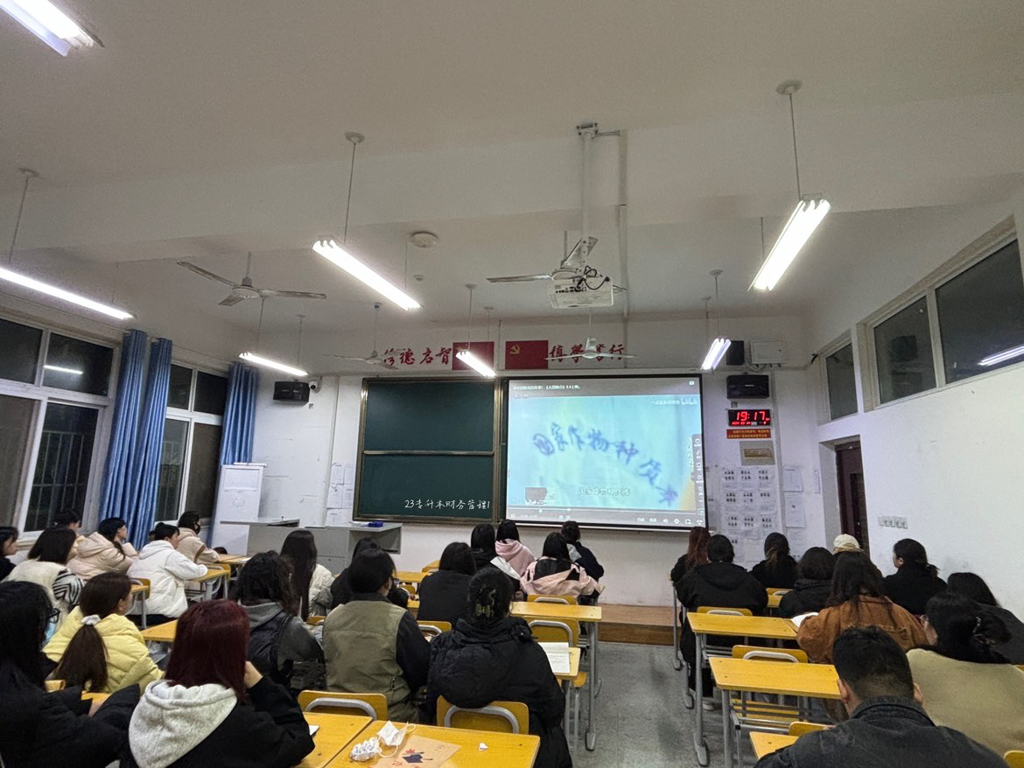 图片 13