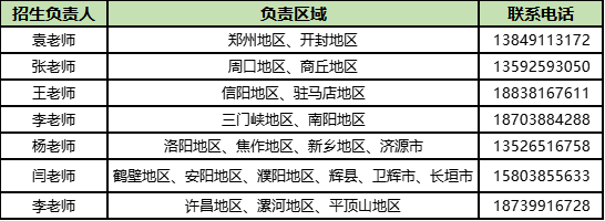 图片 384