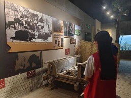 图片 533