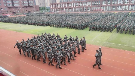 图片 371